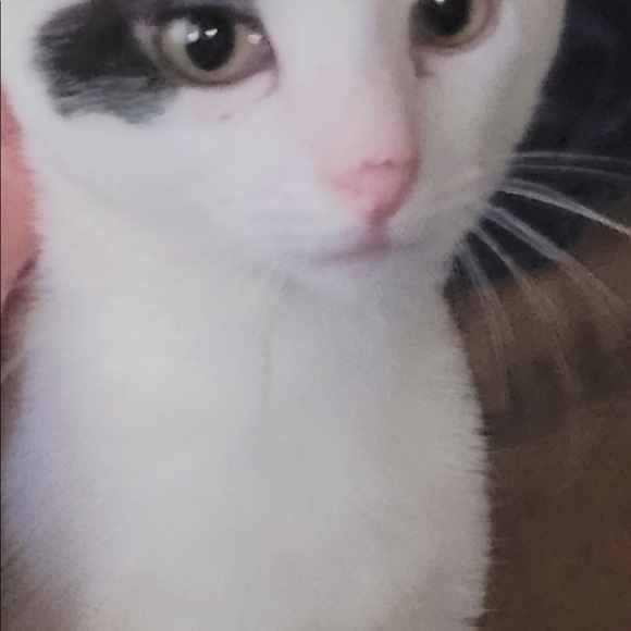 Meet your Posher, Kristina - Picture 1 of 1